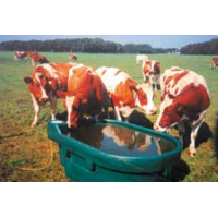 Adapatoare 400 litri pentru vaci,cai,oi,capre Model WT400-Adapatori vaci 