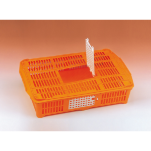 Plastic transport cage