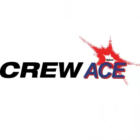 Crew Ace 500ml
