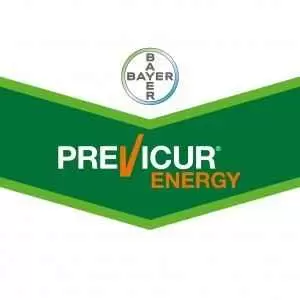 Previcur Energy 10ml-Fungicide 