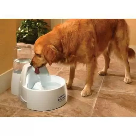Dozator de apă câini și căței