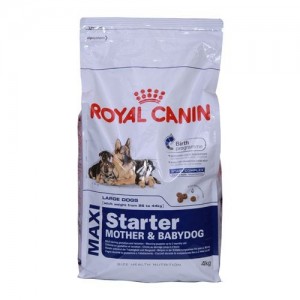Royal Canin Maxi Starter MB 4kg-Hrana caini 