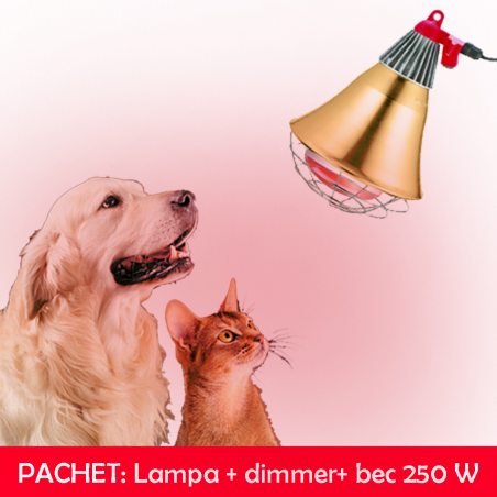 Incalzire caini, catei, pisici, animale de companie - Lampa+dimmer+bec 250W-Incalzire animale de companie 
