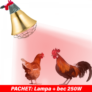 Bird heater - Lamp + dimmer + bulb 250W-BIRD HEATER