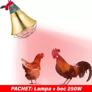 Incalzire pasari - Lampa+dimmer + bec 250W-INCALZIRE PASARI 
