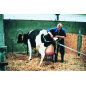 Dispozitiv de fătare vaci VINK forță 500 kg