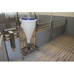 Hranitoare automata porci