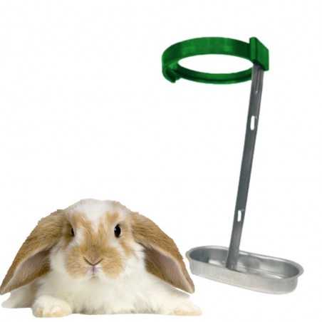 Adapatoare iepuri suport sticla