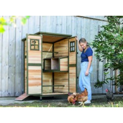 Chicken and quail cage